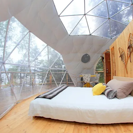 Bulle Etoile Filante