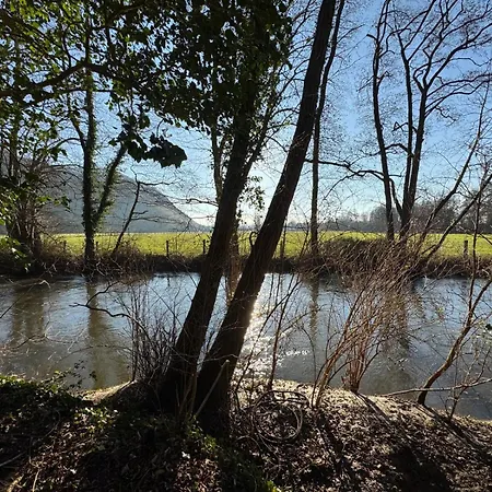 Tente de luxe Bulle Etoile Filante